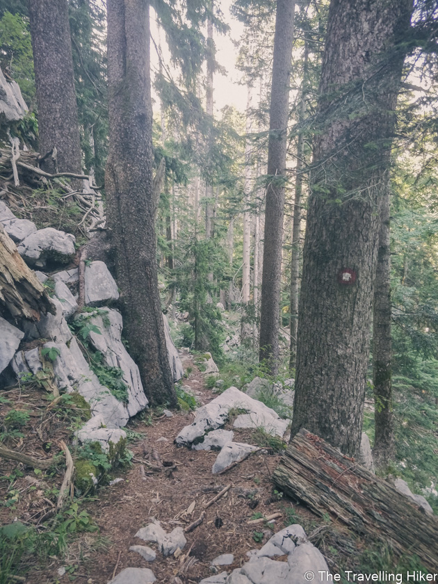 Hiking in Rinsjak National Park