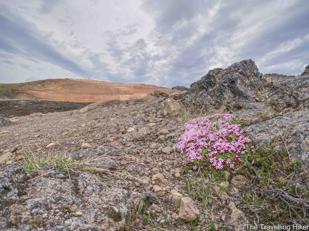 Krafla Viti Crater and Lava Fields Hike