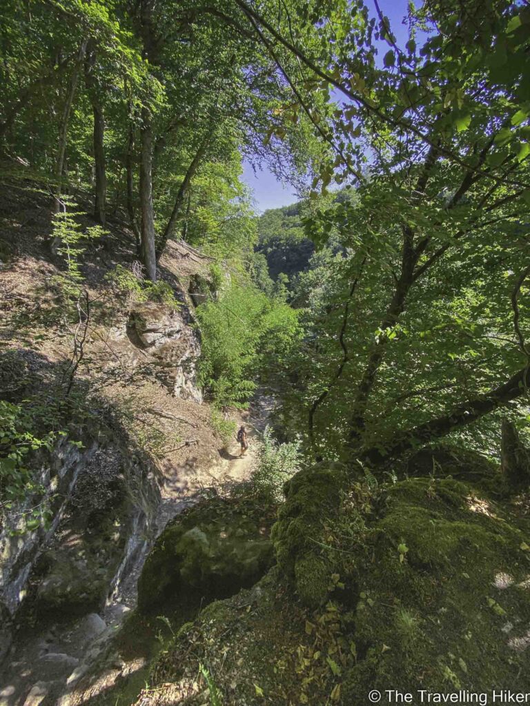 Hiking the Mullerthal Trail