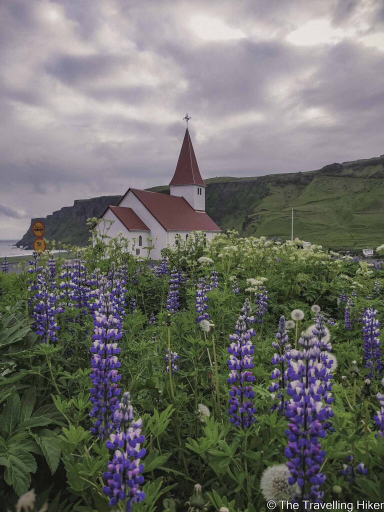 Ultimate Guide to Iceland's South Coast