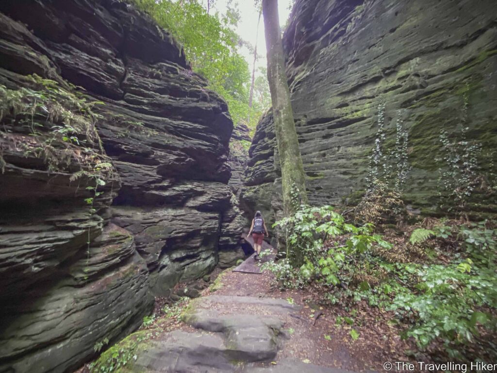 Hiking in Berdorf