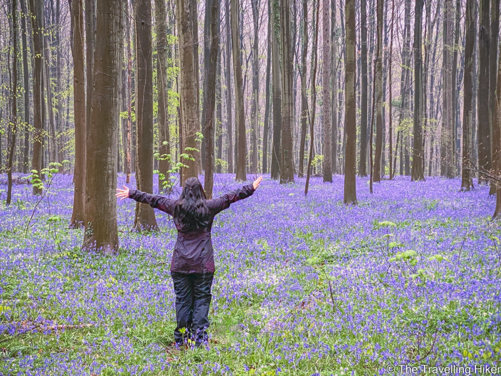 Beautiful Places to visit in Belgium