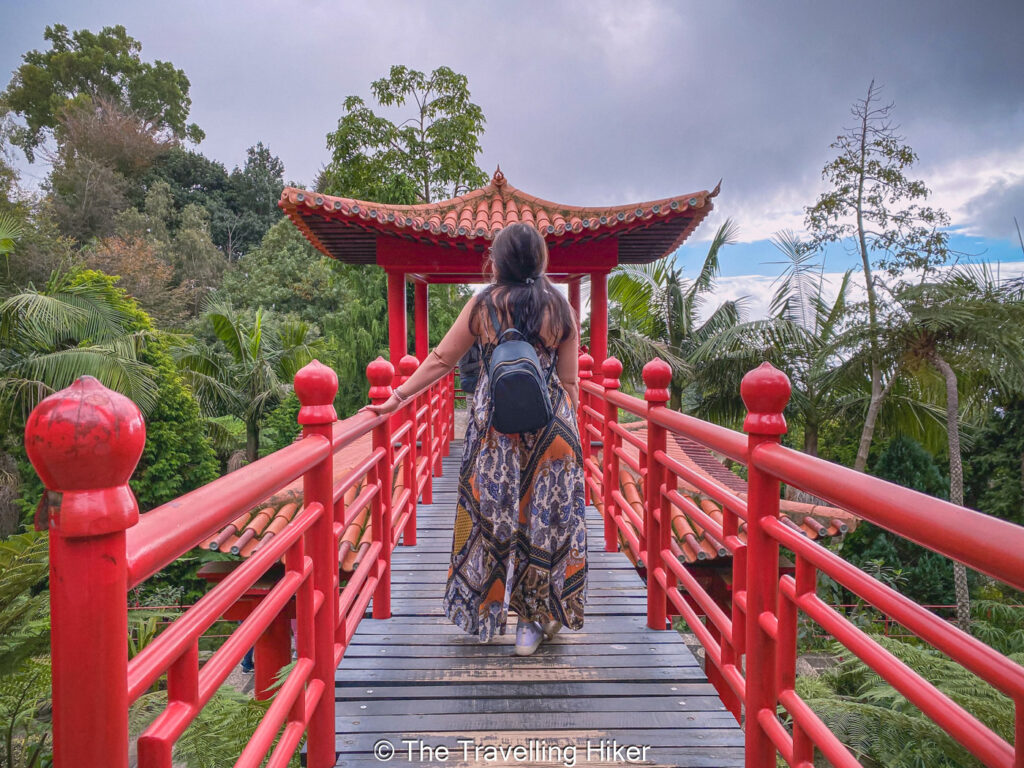 Amazing Things to Do in Funchal