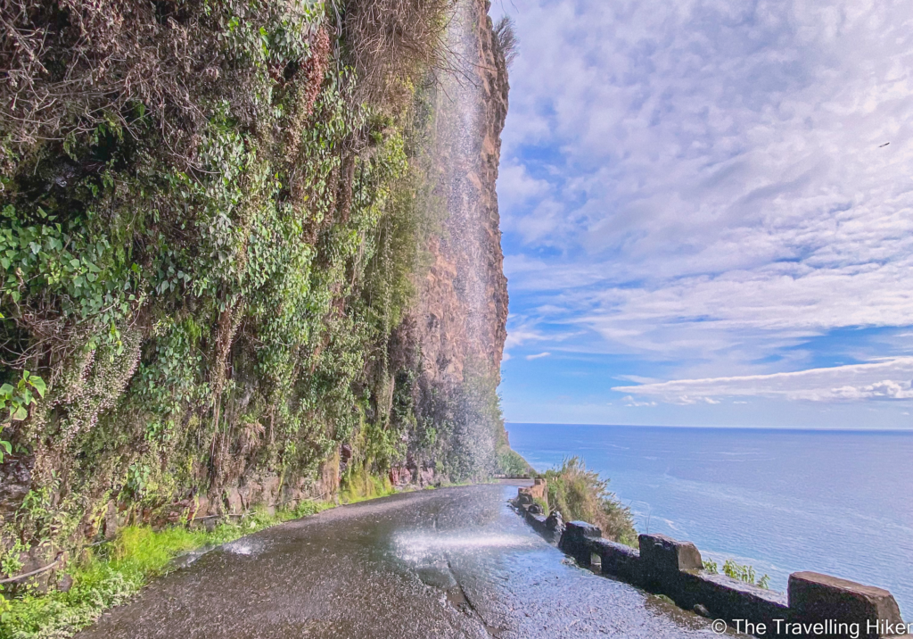 renting a car in madeira