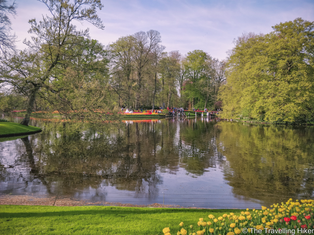 Keukenhof Garden and tulip fields