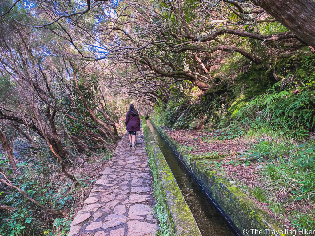 Levada das 25 Fontes and Risco Waterfall