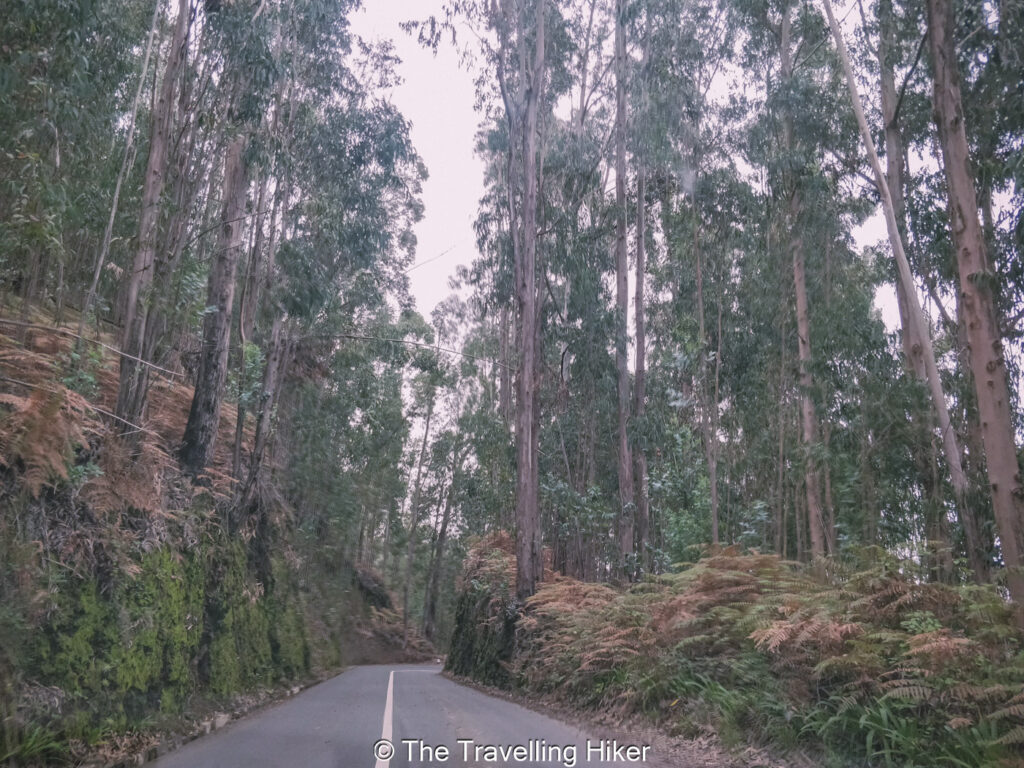Tips for renting a car and driving in Madeira