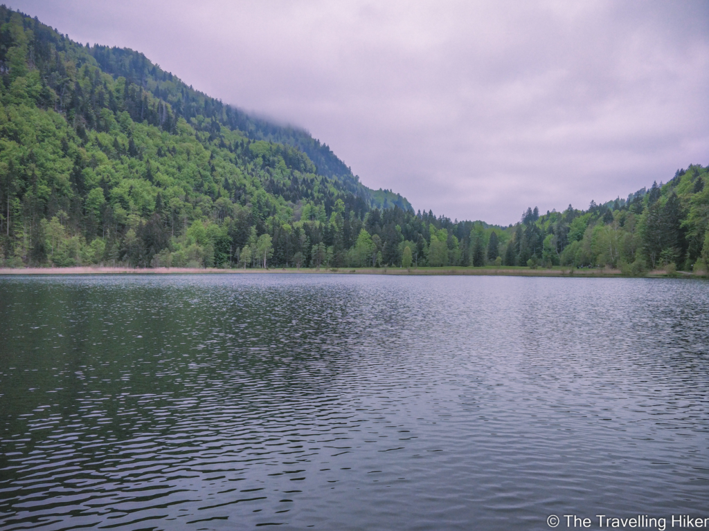 Bavaria Road Trip: Schwansee