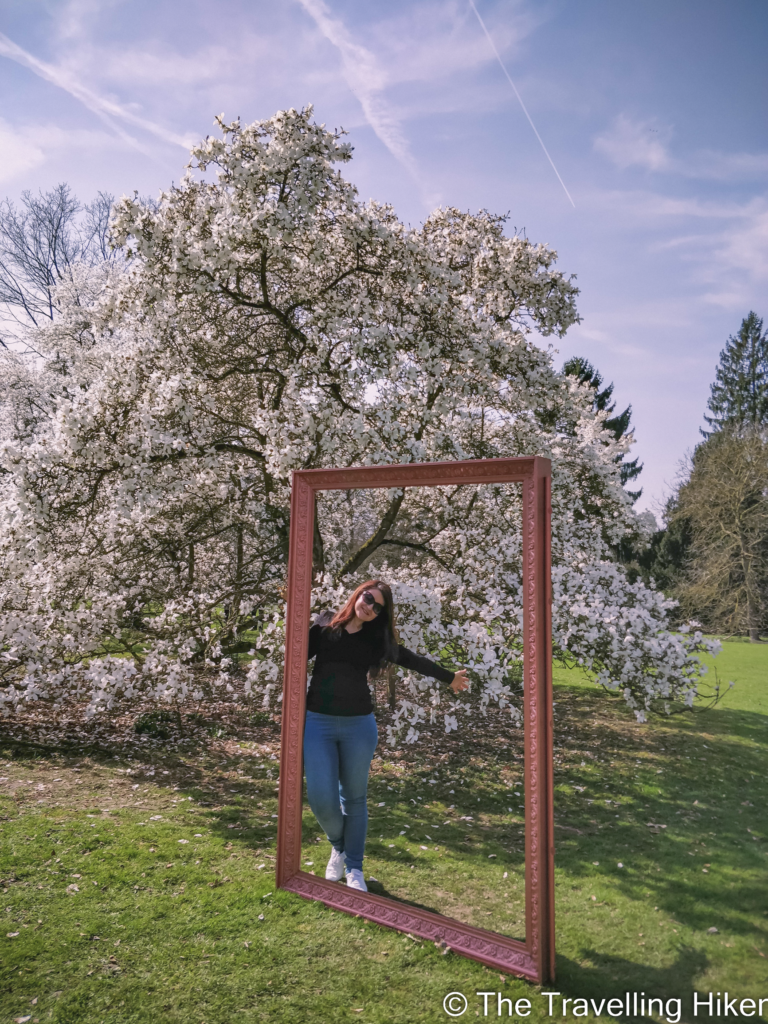 Beautiful Places to Visit in Belgium: Meise Botanical Garden