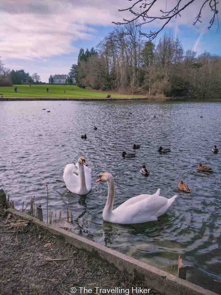 Beautiful Places to Visit in Belgium: Chateau de La Hulpe