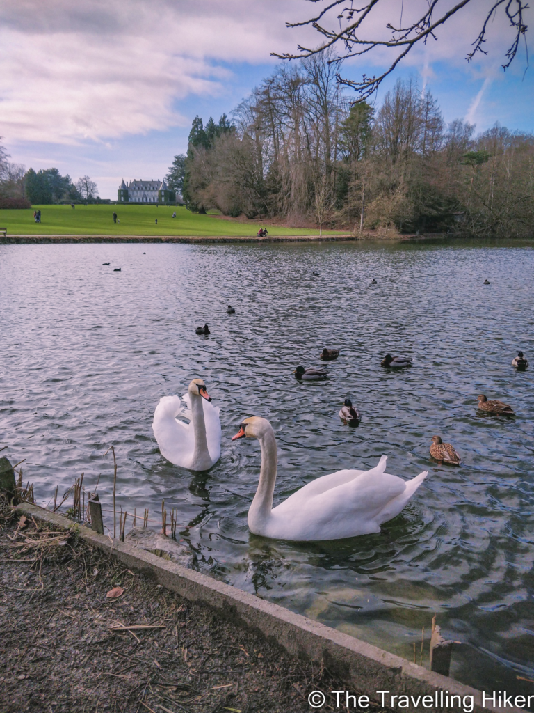 Beautiful Places to Visit in Belgium: Chateau de La Hulpe