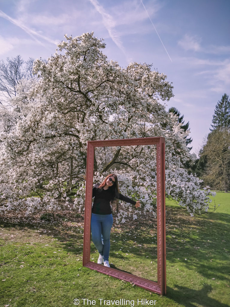 Beautiful Places to Visit in Belgium: Meise Botanical Garden