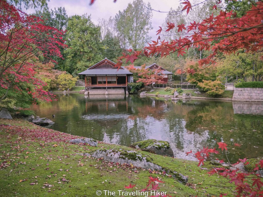 Beautiful Places to Visit in Belgium: Hasselt