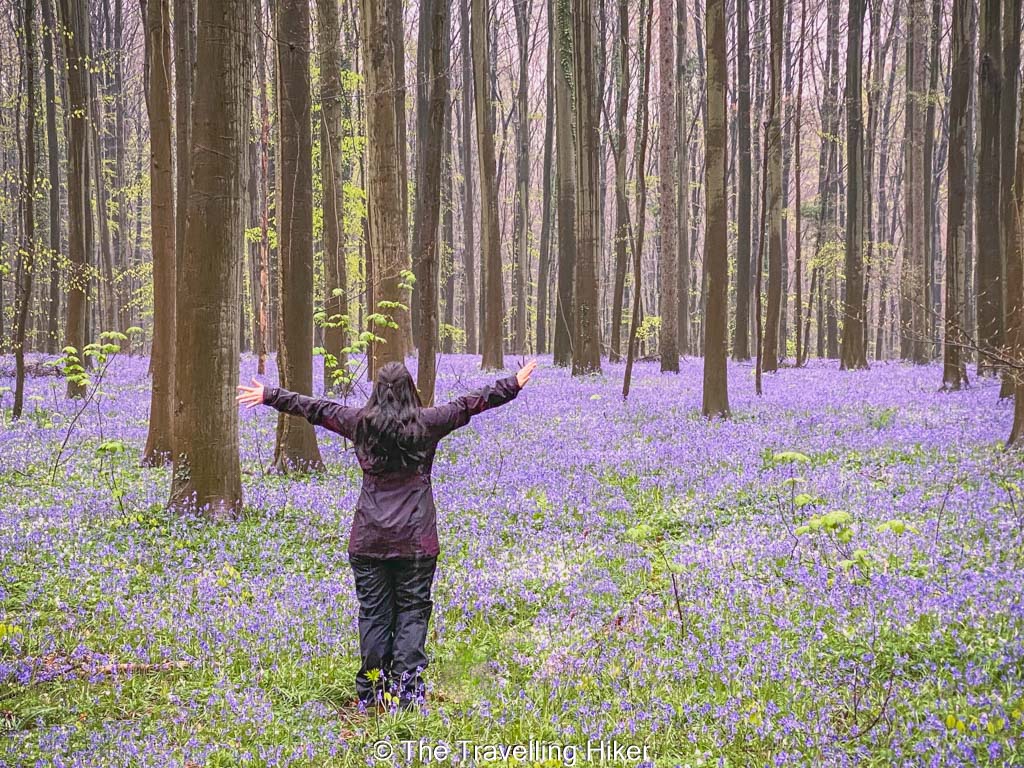 Beautiful Places to Visit in Belgium
