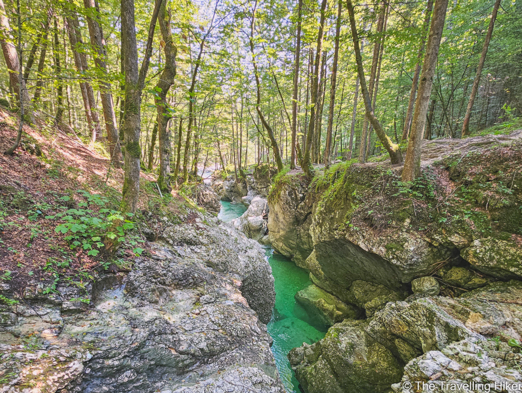 Mostnica Gorge