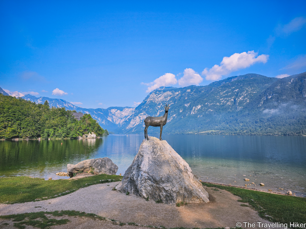 Things to do in Bohinj: Zlatorog