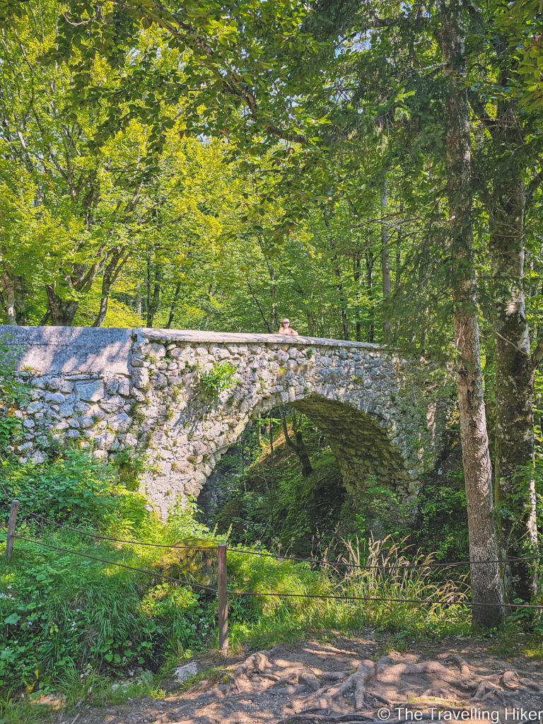 Mostnica Gorge: Devil's Bridge