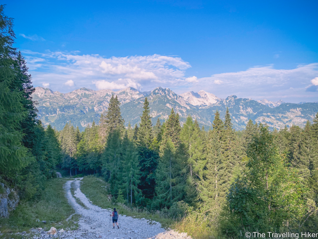 Hiking Mount Vogel