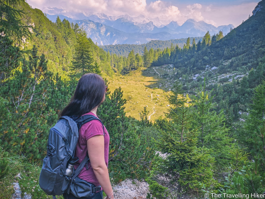 Hiking Mount Vogel