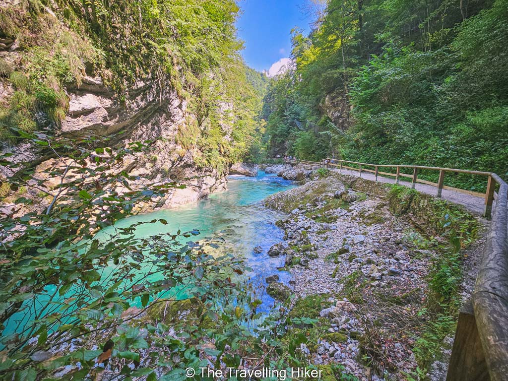 Plan your road trip in Slovenia: Vintgar Gorge