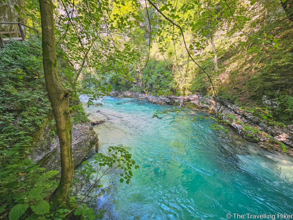 Hiking Vintgar Gorge