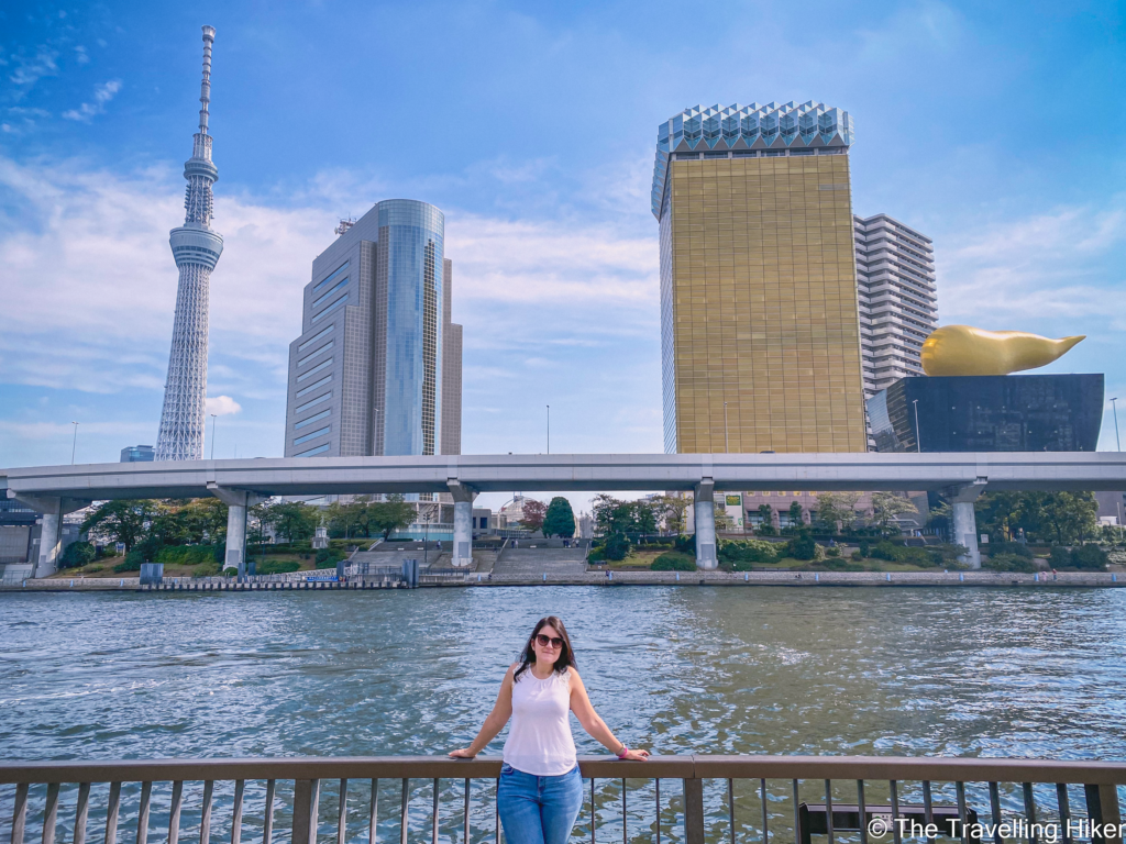 Things to do in Asakusa: Asakusa Pier