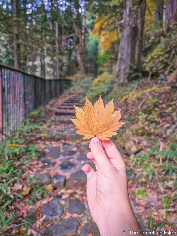 Day Trip to Nikko