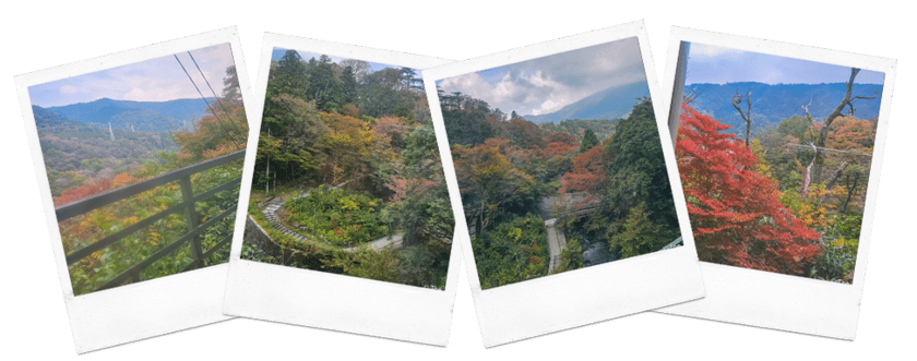 One Day in Hakone