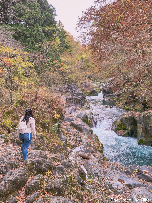 Day Trip to Nikko