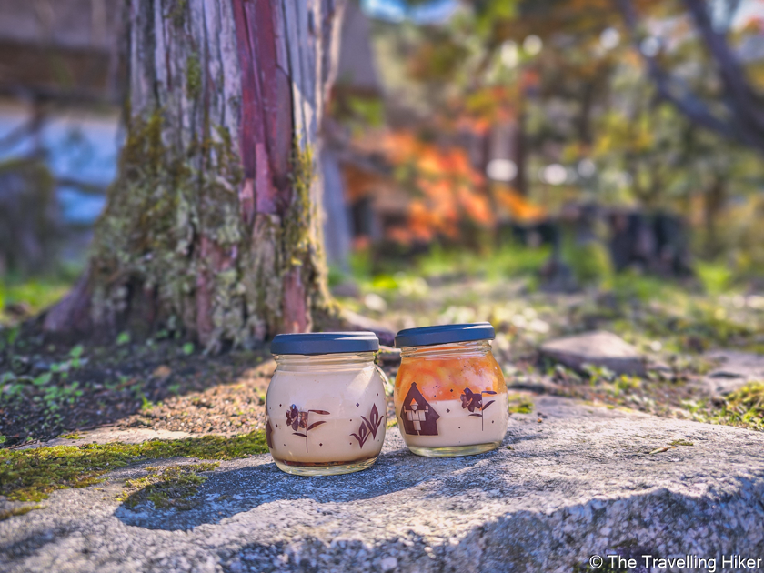 Day Trip To Shirakawago