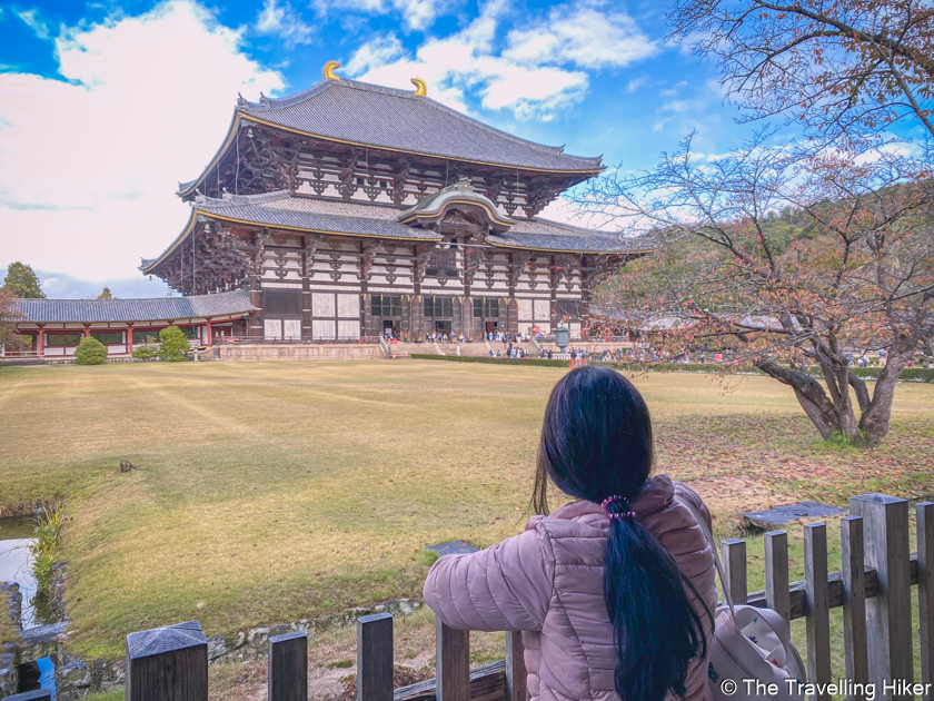 A day trip To Nara