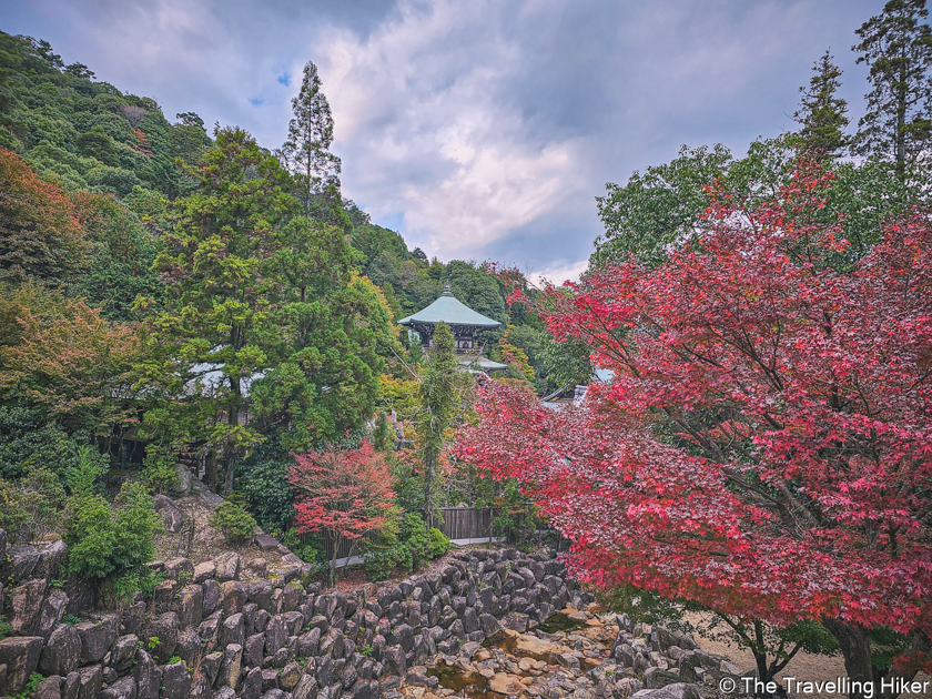 Things to do in Miyajima Island