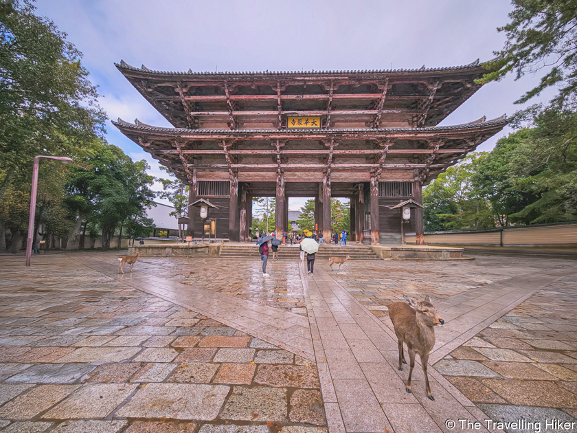 Day Trip To Nara