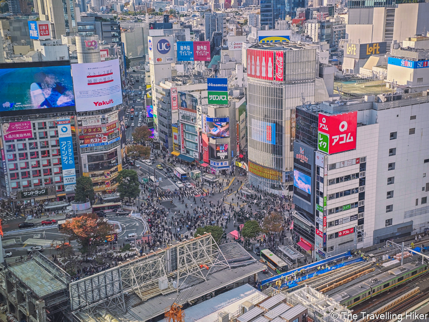 Best Things to do in Shibuya