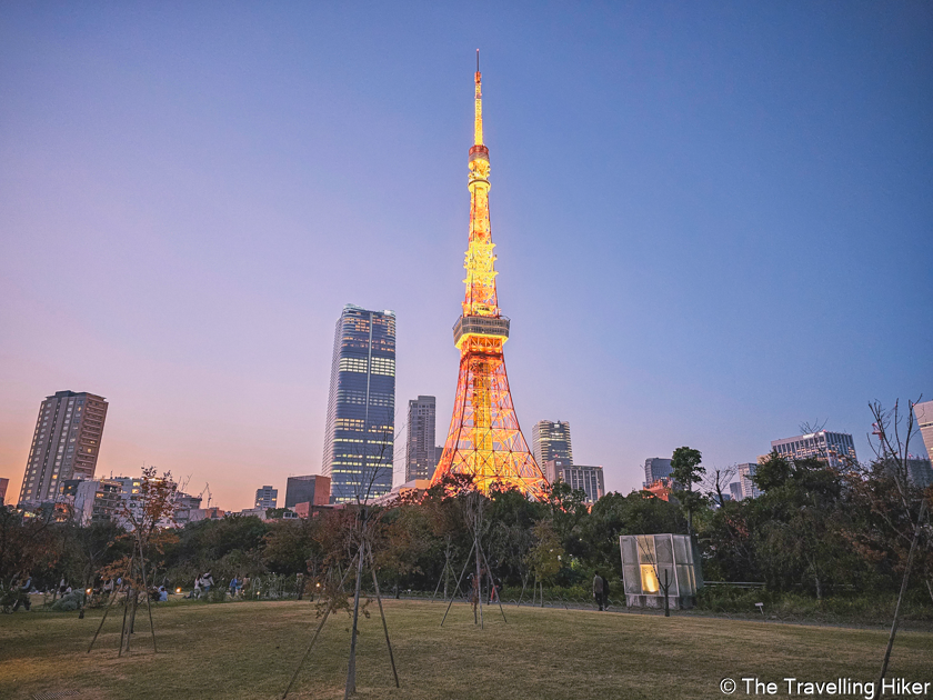 20 days in Tokyo