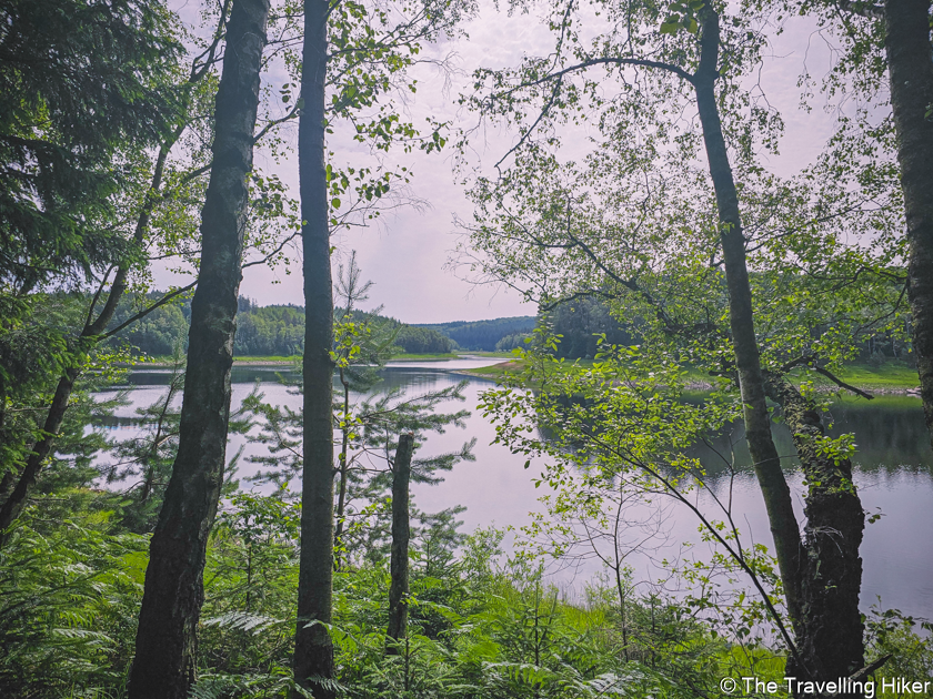 High Fens Eifel Nature Park