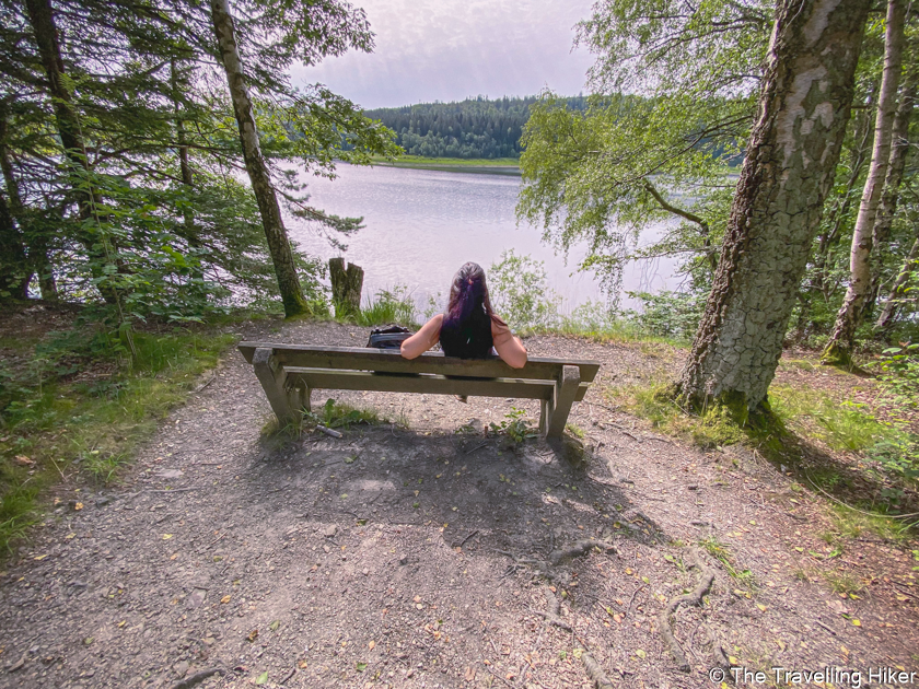 High Fens Eifel Nature Park