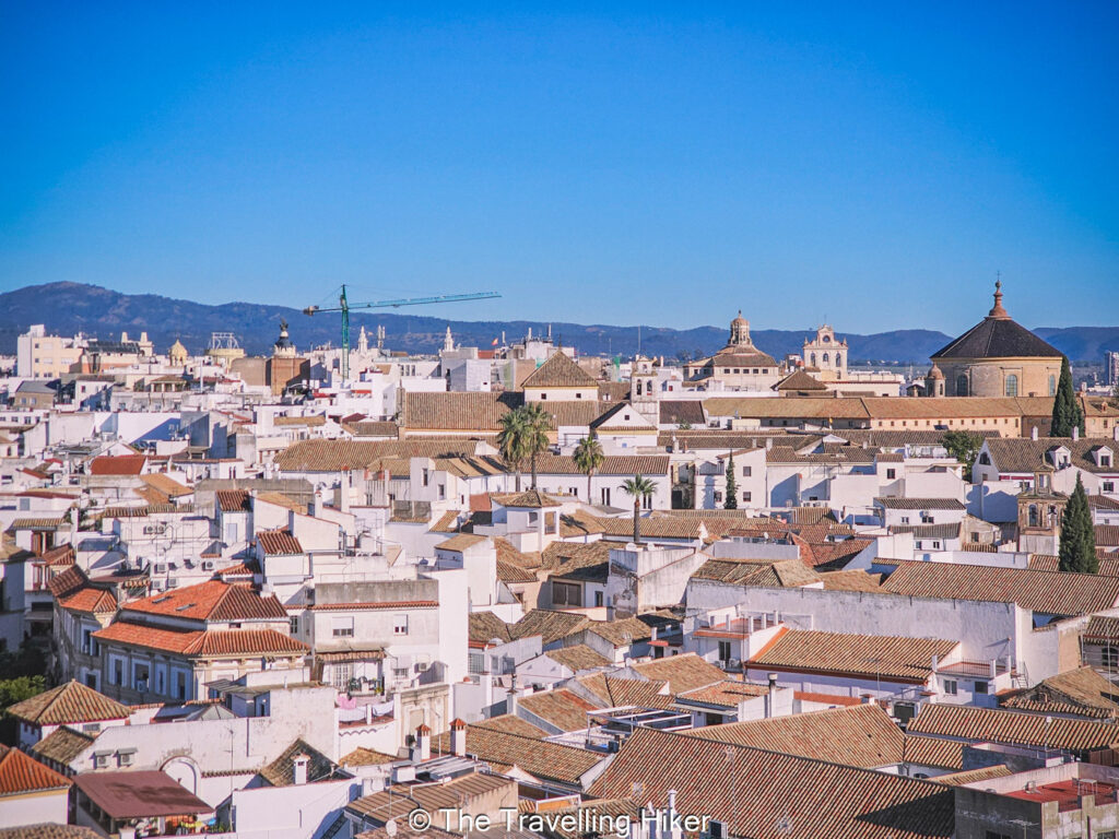 One day in Cordoba