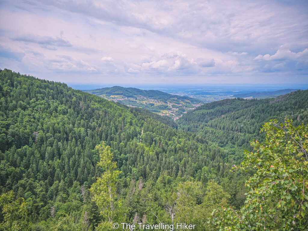 Black Forest Road Trip