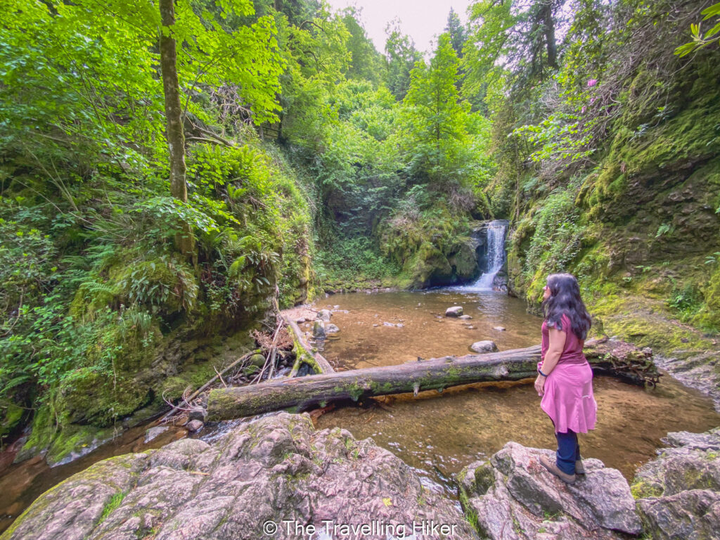 Best Short Hikes in the Black Forest Germany