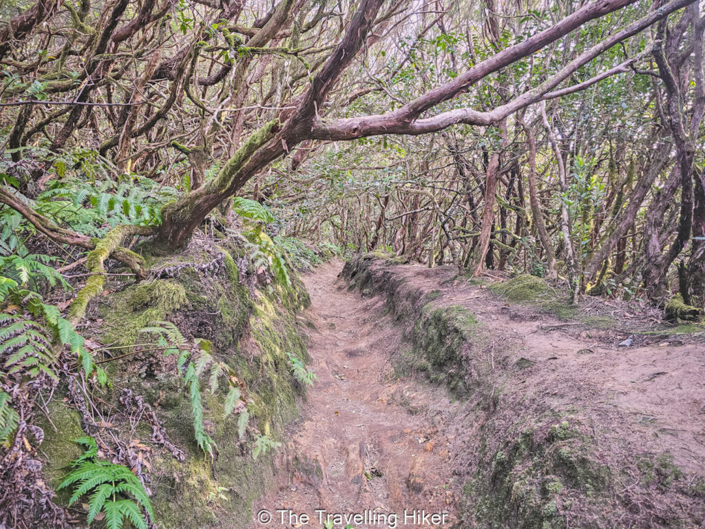 El Pijaral Hike to Cabeza de Tejo Viewpoint
