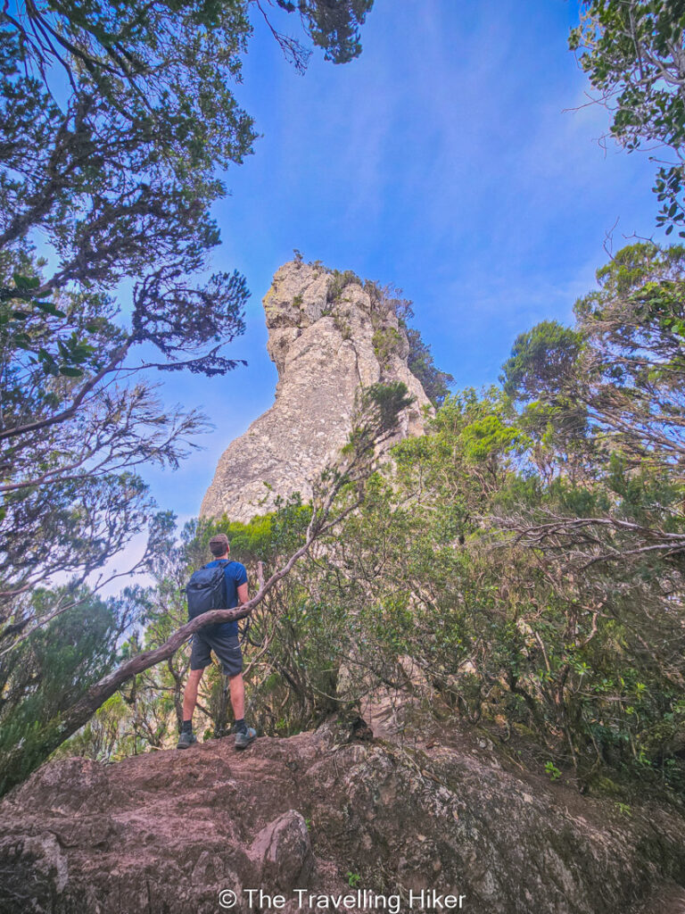 El Pijaral Hike to Cabeza de Tejo Viewpoint: Roque Anambro