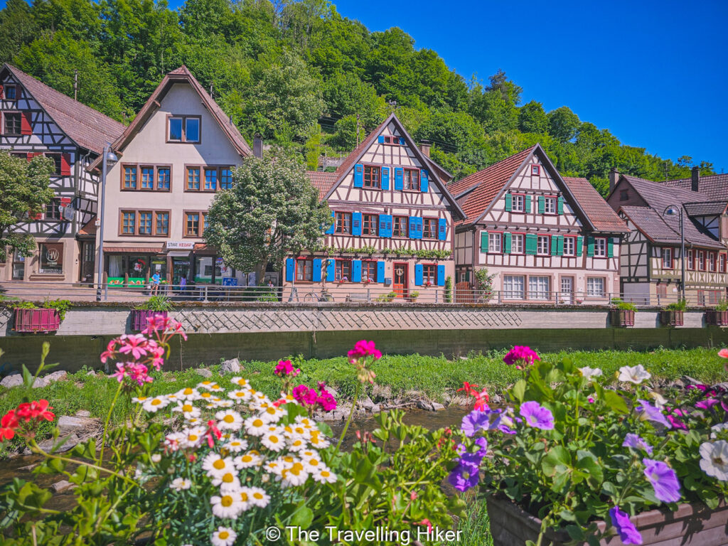 Black Forest Road Trip