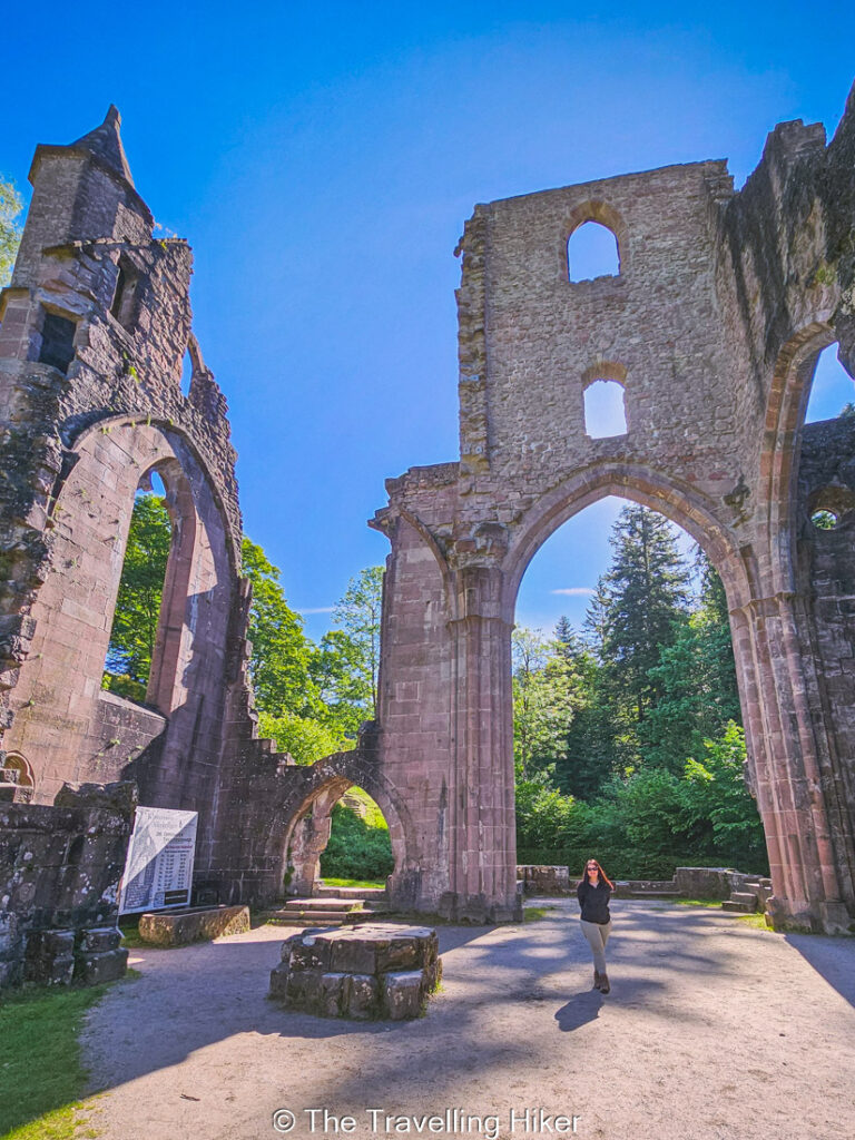 Black Forest Road Trip