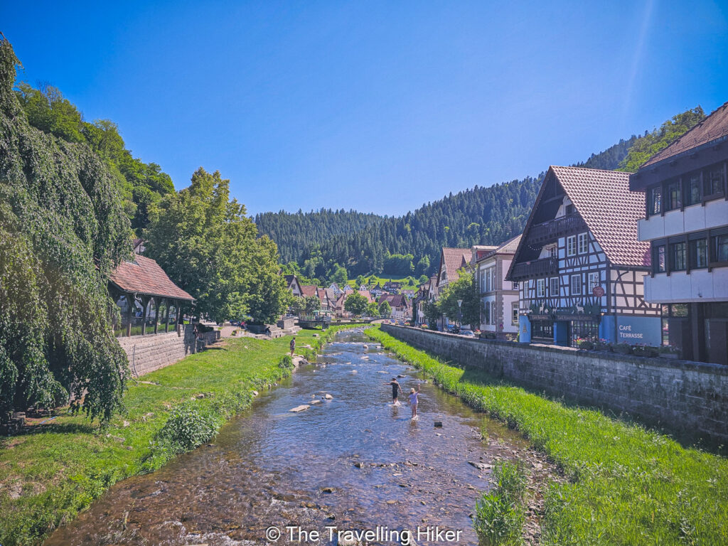 Black Forest Road Trip