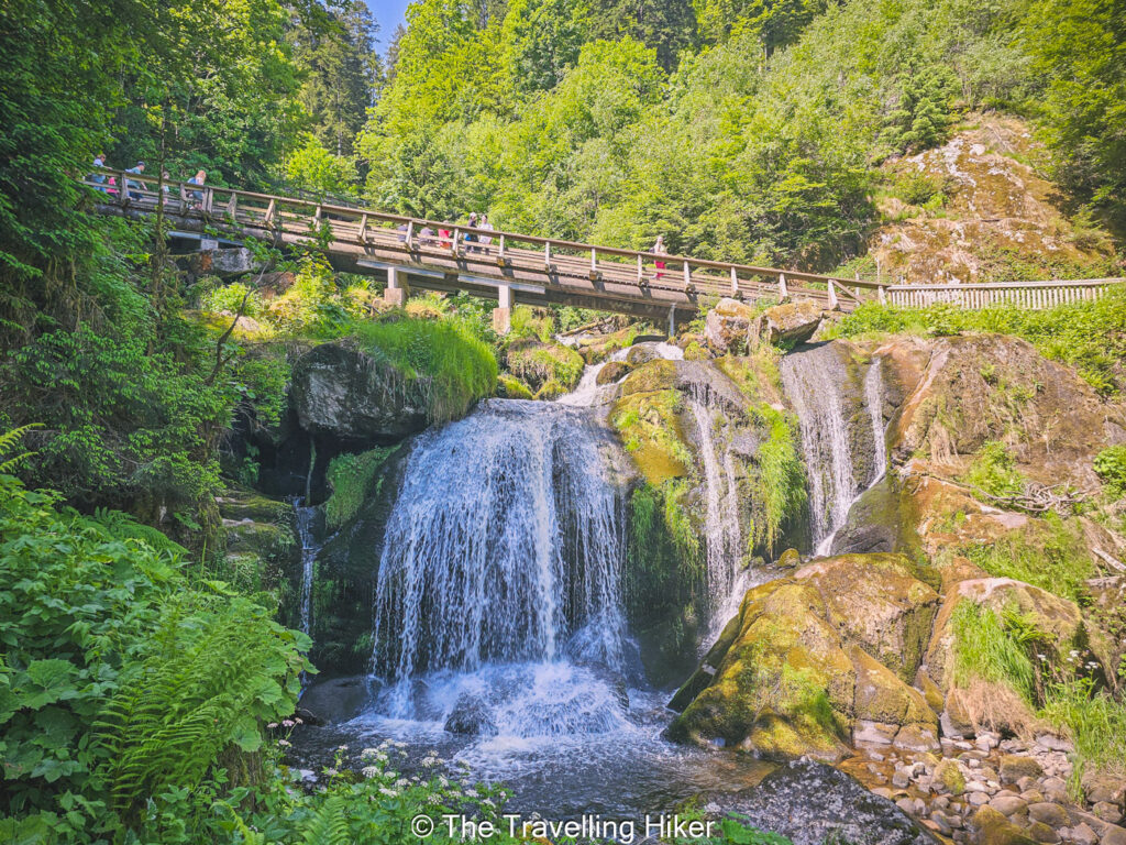 Black Forest Road Trip