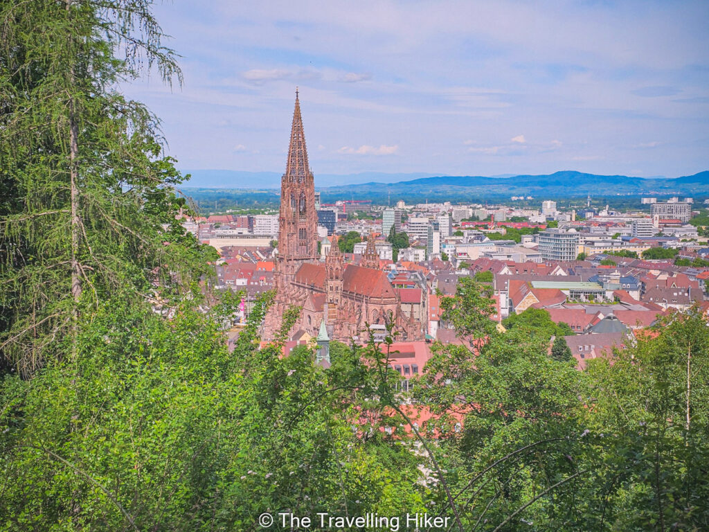 Best Things To Do In Freiburg, Germany: View from Schloss Park