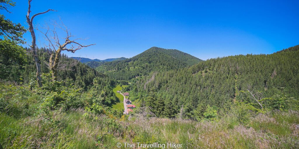 Klosterle Schleife Hike Black Forest