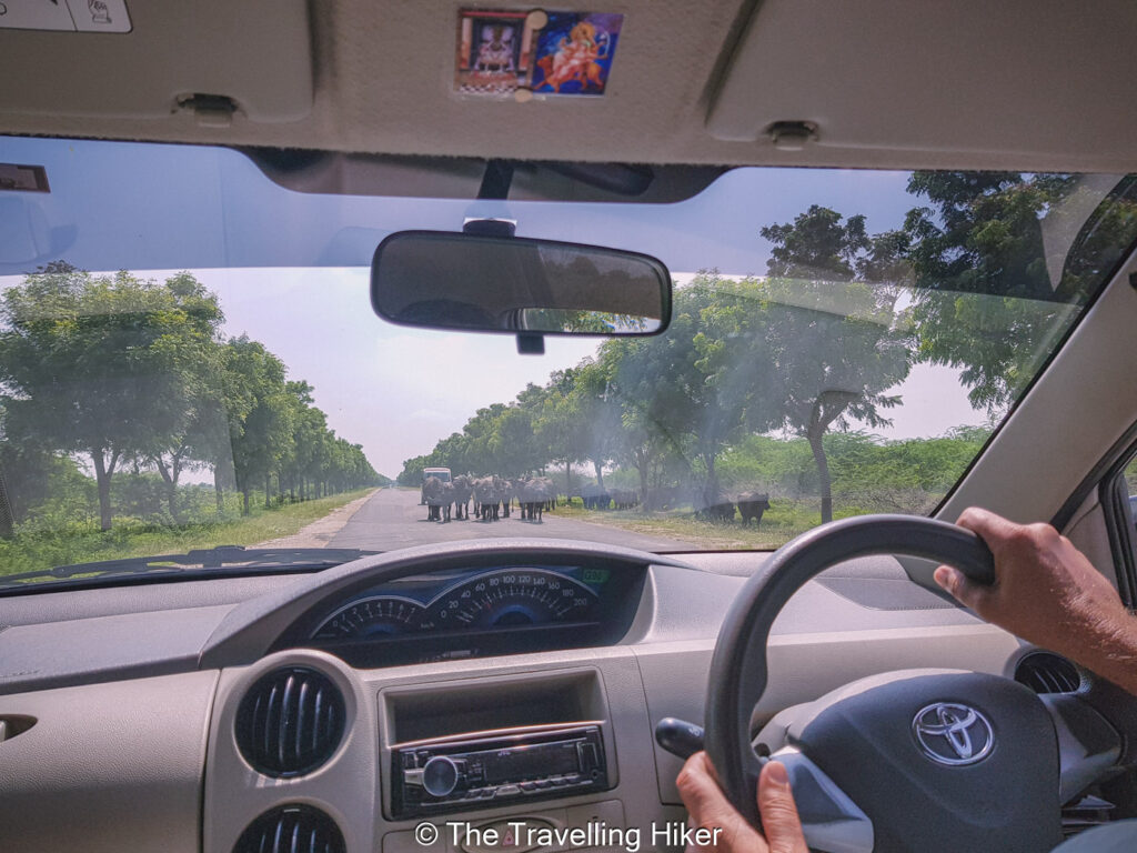 2 Week India Itinerary: Ranakpur Jain Temple