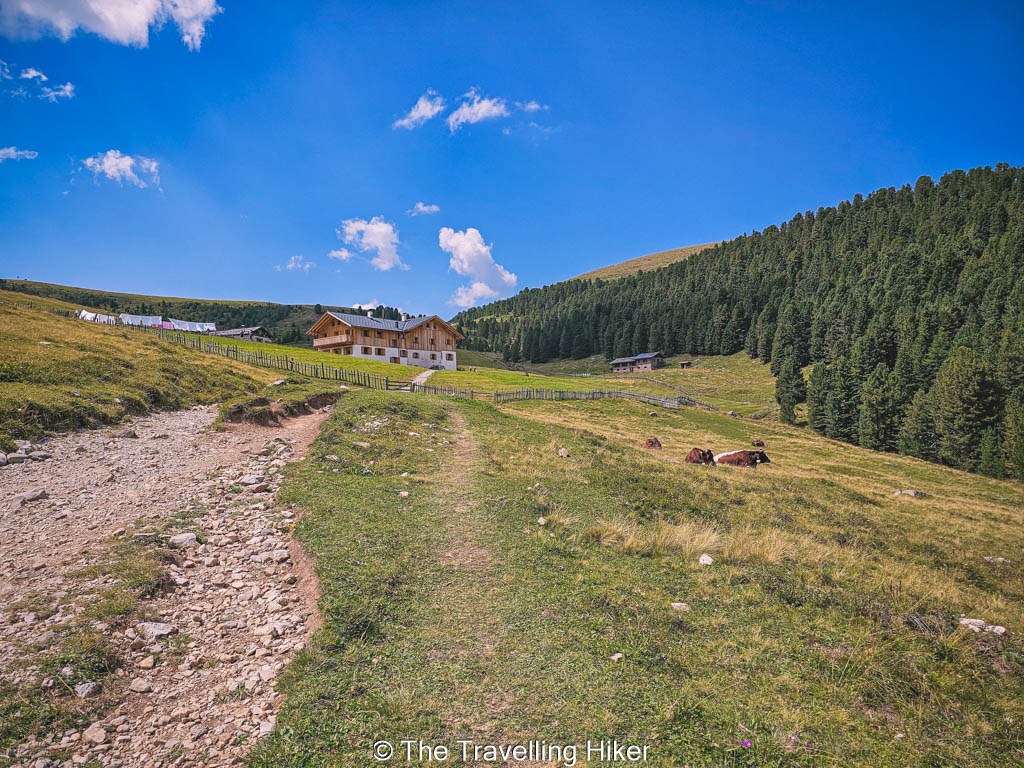 Adolf Munkel Trail Guide: Brogles Hut